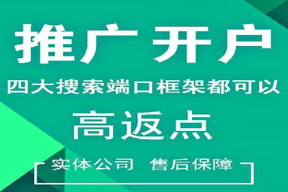 成功案例解析：SEM竞价托管的优化之路